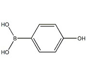 KL40038            71597-85-8         4-羥基苯硼酸