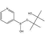 KL40115            329214-79-1       3-吡啶硼酸頻哪醇酯
