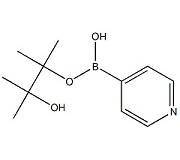 KL40117            181219-01-2       4-吡啶硼酸頻哪醇酯