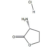 KL60034            104347-13-9        (R)-(+)-alpha-氨基-gamma-丁內(nèi)酯鹽酸鹽